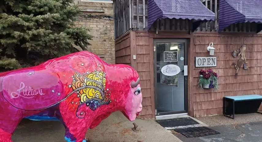 Lillians Fashion Boutique Franchise for Sale