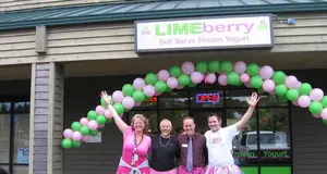 Limeberry Frozen Yogurt
