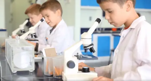 Little Beakers Science Lab for Kids