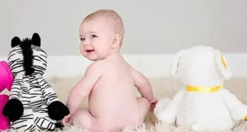 Little Nest Portraits