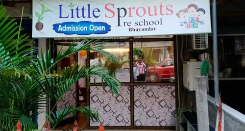 Little Sprouts Play School Franchise For Sale