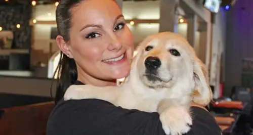 Lucky Dog Bark And Brew Franchise for Sale