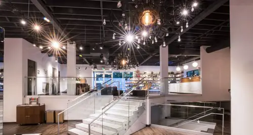 Lunatic Fringe Franchise Cost & Fees Opportunity