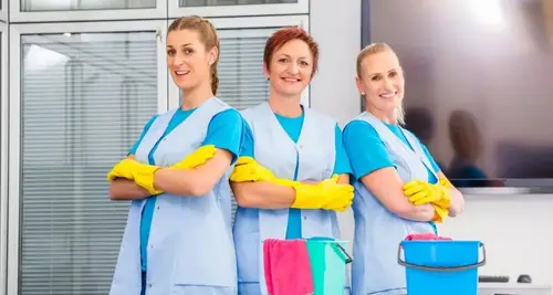 MaidThis Franchise Cost & Investment Opportunity