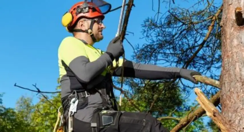 ManageMowed Franchise Opportunity image 3