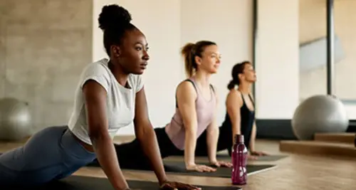 MELD Fitness + Wellness