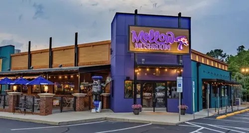 Mellow Mushroom Cost & Fees Franchise Opportunity