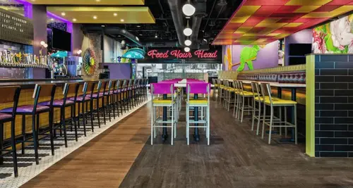 Mellow Mushroom Cost & Fees Franchise Opportunity