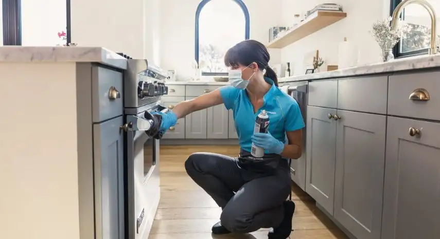 Merry Maids  USA Franchise For Sale