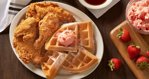 Metro Diner Franchise Cost & Fees Opportunities