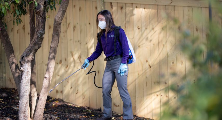 MissQuito Franchise for Sale | mosquito control