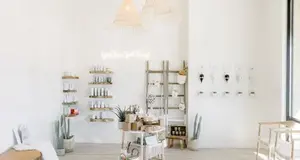 Mod Society Facial + Maskbar