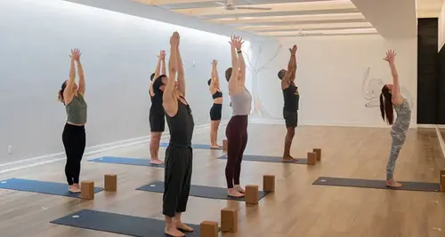 Modo Yoga  - Wellness & Yoga Studios