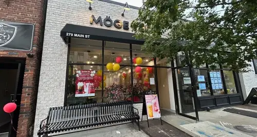 Moge Tee Franchise Cost & Fees Opportunities