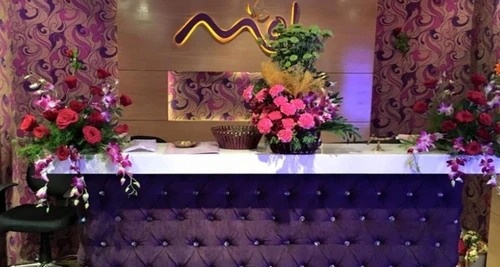 Moh Spa Franchise Cost, Fees, Opportunities