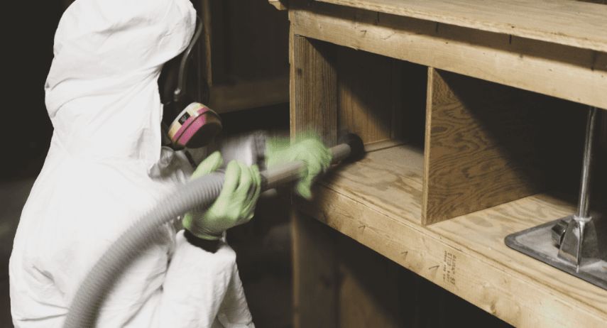 Mold Medics Franchise For Sale image 2