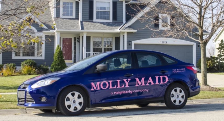 Molly Maid Franchise for Sale | home cleaning