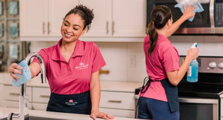 Molly Maid Franchise for Sale | home cleaning