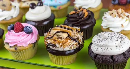 Molly’s Cupcakes Franchise Cost & Fees Opportunity