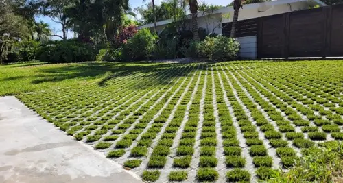 Monster Grass  - Artificial Turf