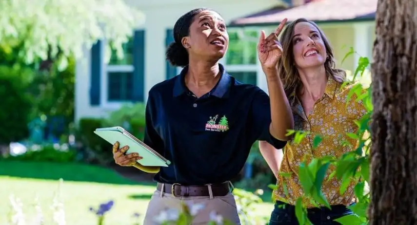 Monster Tree Service Franchise Opportunity