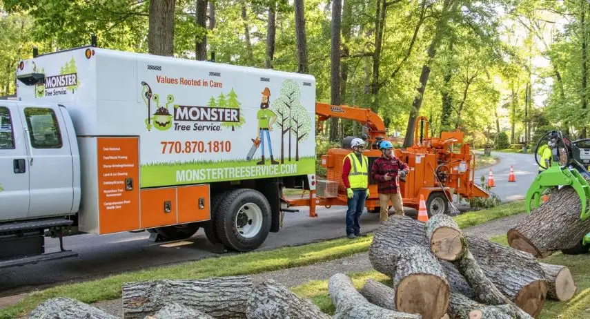 Monster Tree Service Franchise Opportunity image 2