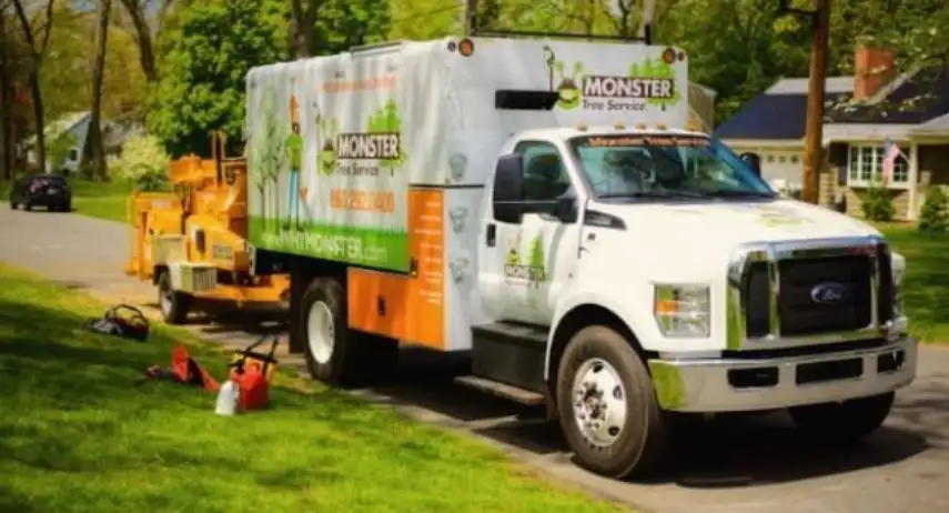 Monster Tree Service Franchise Opportunity image 3