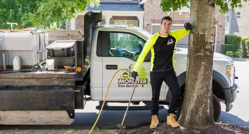 Monster Tree Service Franchise Opportunity image 4