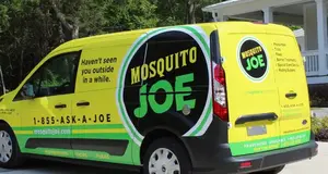 Mosquito Joe