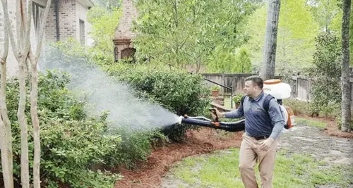 Mosquito Marshals Franchise Opportunities