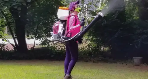 Mosquito Mary’s Franchise Cost & Fees Opportunities