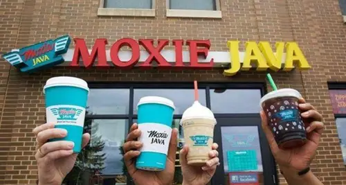 Moxie Java Franchise Cost & Investment Opportunity