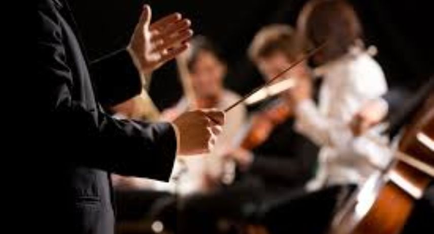 Musicologie Franchise For Sale image 2