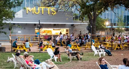 MUTTS Canine Cantina