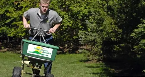 NaturaLawn of America