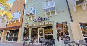 Orlando Cat Café  in the USA