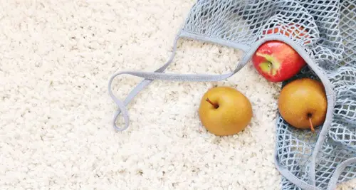 Oxymagic Carpet Cleaning Franchise For Sale