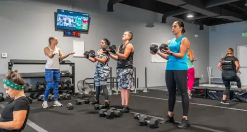 P-FIT The Platinum Standard of Fitness Franchise For Sale