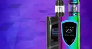 Peachtree Vapor Franchise Cost & Fees Opportunities