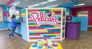 Pelican's SnoBalls