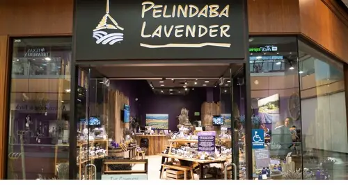 Pelindaba Lavender Franchise Opportunities