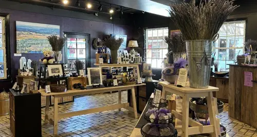 Pelindaba Lavender Franchise Opportunities