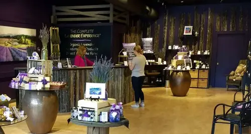 Pelindaba Lavender Franchise Opportunities