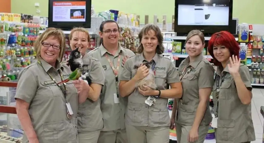 Petland USA Franchise For Sale image 2