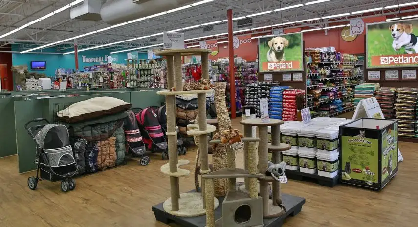 Petland USA Franchise For Sale image 3