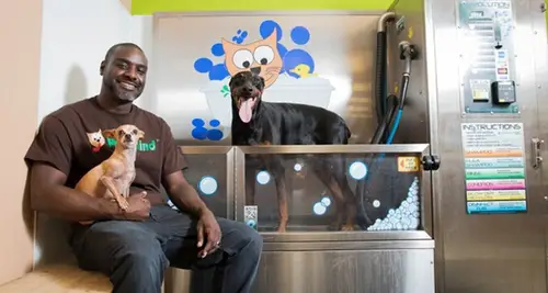 petNmind Franchise Investment & Cost Opportunity