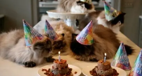 Pets Warehouse Franchise Investment & Cost Opportunity image 3