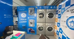 Pick My Laundry Franchise Cost, Fees, Opportunity