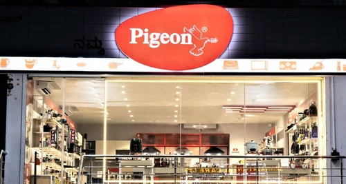 Pigeon Franchise Cost, Fees, Opportunities