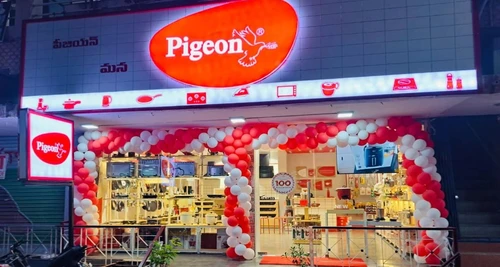 Pigeon Franchise Cost, Fees, Opportunities